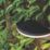 Lutec Vyzor Outdoor LED Solar Wall Light  With PIR Sensor Dark Grey 1000lm