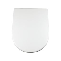 Swirl  Soft-Close with Quick-Release D-Shaped Toilet Seat Stainless Steel & Plastic White