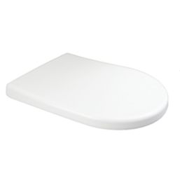 Swirl  Soft-Close with Quick-Release D-Shaped Toilet Seat Stainless Steel & Plastic White