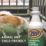 Zep   Artificial Grass Cleaner Concentrate 1Ltr