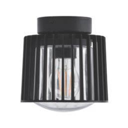 Lutec Shyne Indoor & Outdoor Ceiling Light  Black