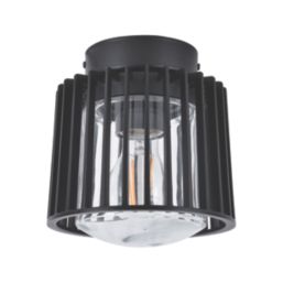 Lutec Shyne Indoor & Outdoor Ceiling Light  Black