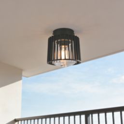 Lutec Shyne Indoor & Outdoor Ceiling Light  Black