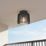 Lutec Shyne Indoor & Outdoor Ceiling Light  Black
