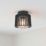 Lutec Shyne Indoor & Outdoor Ceiling Light  Black