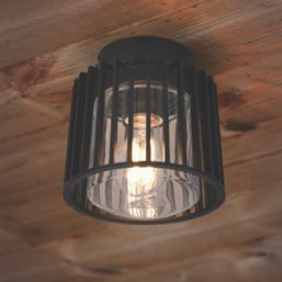 Lutec Shyne Indoor & Outdoor Ceiling Light  Black