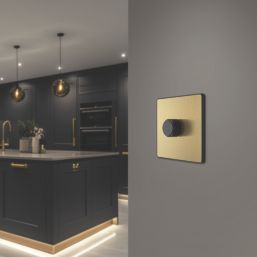 British General Evolve 1-Gang 2-Way LED Dimmer Switch  Satin Brass with Black Inserts