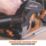 Evolution R185CCSX+ 1600W 185mm  Electric Track Compatible Circular Saw 240V