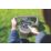 Flymo UltraMow Duo 460 36V 2 x 4.0Ah Li-Ion Power for All Brushless Cordless 46cm Lawn Mower
