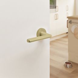 Cooke & Lewis Izenah Lever on Rose Door Handles Pair Brushed Brass