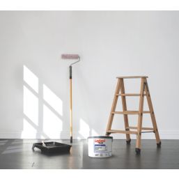 Leyland Trade Contract 10Ltr Brilliant White Matt Emulsion  Paint