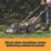 Titan  36V 1 x 4.0Ah Li-Ion TXP Brushless Cordless 43cm Lawn Mower
