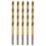 Erbauer  Straight Shank Metal Drill Bits 2mm x 49mm 5 Pack