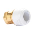 Hep2O  Plastic Push-Fit Adapting Keyless Female Coupler 22mm x 3/4"
