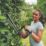Flymo SimpliCut 450  45cm 18V 1 x 2.0Ah Li-Ion Power for All  Cordless Hedge Trimmer