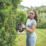 Flymo SimpliCut 450  45cm 18V 1 x 2.0Ah Li-Ion Power for All  Cordless Hedge Trimmer