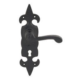 Carlisle Brass Fleur de Lys LoB Lock Door Handles Pair Black