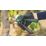 Bosch EasyPrune 3.6V 1 x 2.0Ah Li-Ion  Cordless Rotary Secateurs