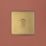 Arlec  10A 1-Gang 2-Way Light Switch  Gold