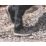 DEWALT Lamar Size 12  Black   Steel Toe Cap Safety Trainers