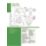 Triton Kaho Rear-Fed Exposed Chrome  Shower Flexible