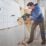 Bosch 06039D6000 2.0kg 18V Li-Ion Power for All Brushless Cordless SDS Drill - Bare