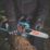 Erbauer ERT1037CHN 18/36V 1 x 4.0/8.0Ah Li-Ion EXT Brushless Cordless 30cm Chainsaw