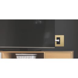 British General Evolve 1-Gang Coaxial TV / FM Socket Satin Brass with Black Inserts