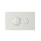 Fluidmaster  Dual-Flush Pneumatic Plate Satin