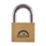 Squire LN5S Brass  All-Weather   Marine Padlock 51mm