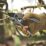 Magnusson Anvil  Secateurs 7 3/4" (195mm)