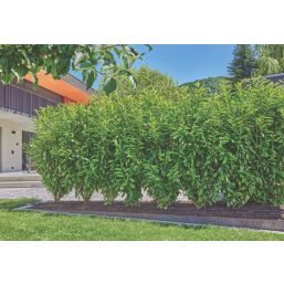 Gardena Micro Irrigation Kit for Bushes & Hedges