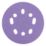 Trend  AB/125/40Z 40 Grit 8-Hole Punched Multi-Material Sanding Discs 125mm 10 Pack