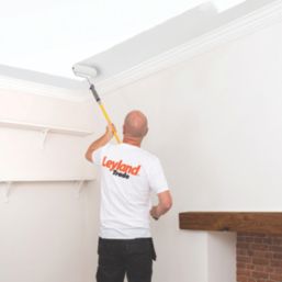 Leyland Trade Contract 10Ltr Mercury Grey Matt Emulsion  Paint