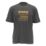 DEWALT 100 Year Graphic Short Sleeve T-Shirt Grey X Large 45-47" Chest