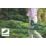 Bosch  EasyHedgeCut 60  60cm 450W 230V Corded  Hedge Trimmer