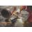 DEWALT DCG405X1T-GB 54V 1 x 9.0Ah Li-Ion XR FlexVolt 4.9" Brushless Cordless 18V Angle Grinder