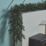 Fraser Fir 2.74m Indoor  Battery LED Pre Lit Artificial Christmas Garland