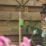 Velcro Brand  Green Tree Ties 5.4m x 50mm