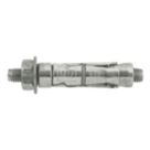 Rawlplug Projecting Rawlbolts M10 x 135mm 5 Pack