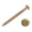 Goldscrew  PZ Double-Countersunk Woodscrews Expert Trade Case 2800 Pcs