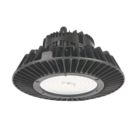 Collingwood Springbok LED High Bay Light Black 200W 29,000lm
