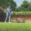 Flymo EasiHover 300 36V 2 x 8Ah Li-Ion Power for All  Cordless 30cm Hover Lawn Mower