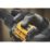 DEWALT DCK2029P2T-GB 18V 2 x 5.0Ah Li-Ion XR Brushless Cordless Combi Drill & Impact Driver Twin Kit