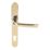 Mila ProLinea Lever Door Handles Type B Pair Gold