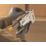Stanley STHT70150-0 15mm Heavy Duty Staple Gun