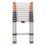 Magnusson  2.9m Telescopic Ladder