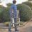 Magnusson  2.9m Telescopic Ladder