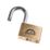 Squire LN60 Brass  All-Weather   Padlock 60mm