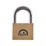 Squire LN60 Brass  All-Weather   Padlock 60mm
